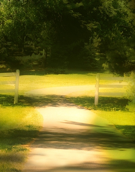 B-y2875撮影用背景布★多サイズ対応(0.5ｍ x 0.9～3ｍ x 7m）★