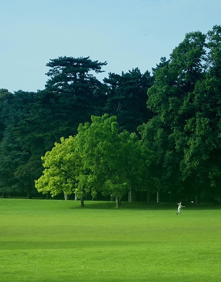 B-y2885撮影用背景布★多サイズ対応(0.5ｍ x 0.9～3ｍ x 7m）★