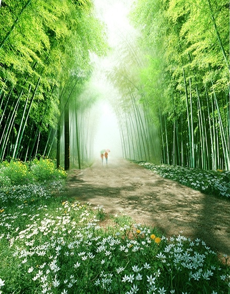 B-y2919撮影用背景布★多サイズ対応(0.5ｍ x 0.9～3ｍ x 7m）★