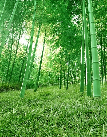 B-y2927撮影用背景布★多サイズ対応(0.5ｍ x 0.9～3ｍ x 7m）★