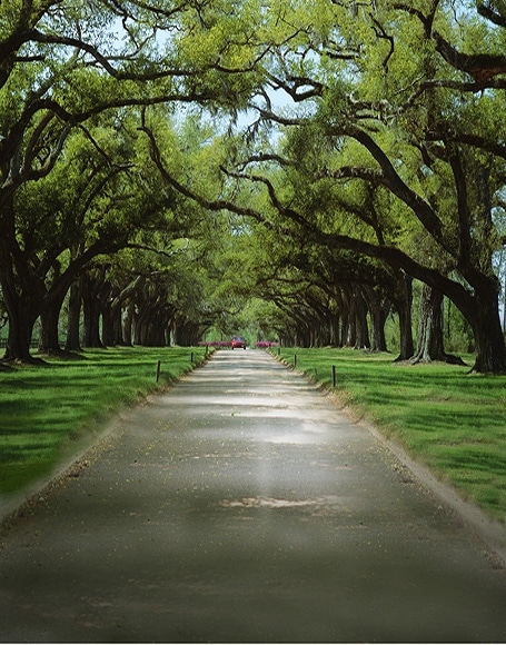 B-y2932撮影用背景布★多サイズ対応(0.5ｍ x 0.9～3ｍ x 7m）★