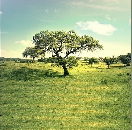 B-zz-6016撮影用背景布★多サイズ対応(0.5ｍ x 0.9～3ｍ x 7m）★