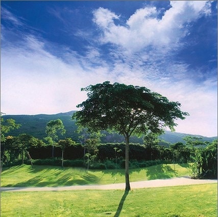 B-zz-6038撮影用背景布★多サイズ対応(0.5ｍ x 0.9～3ｍ x 7m）★