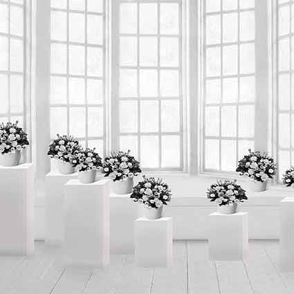 B-zz-6917撮影用背景布★多サイズ対応(0.5ｍ x 0.9～3ｍ x 7m）★