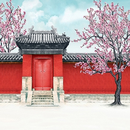 B-5495撮影用背景布★多サイズ対応(0.5ｍ x 0.9～3ｍ x 7m）★