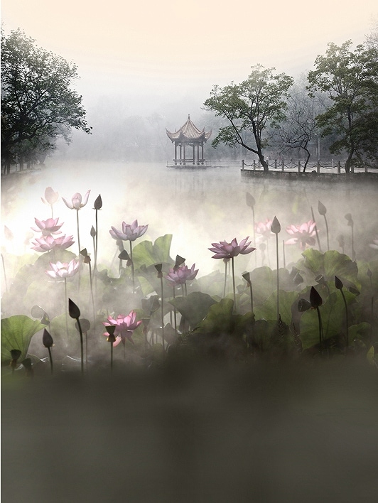 B-y2055撮影用背景布★多サイズ対応(0.5ｍ x 0.9～3ｍ x 7m）★