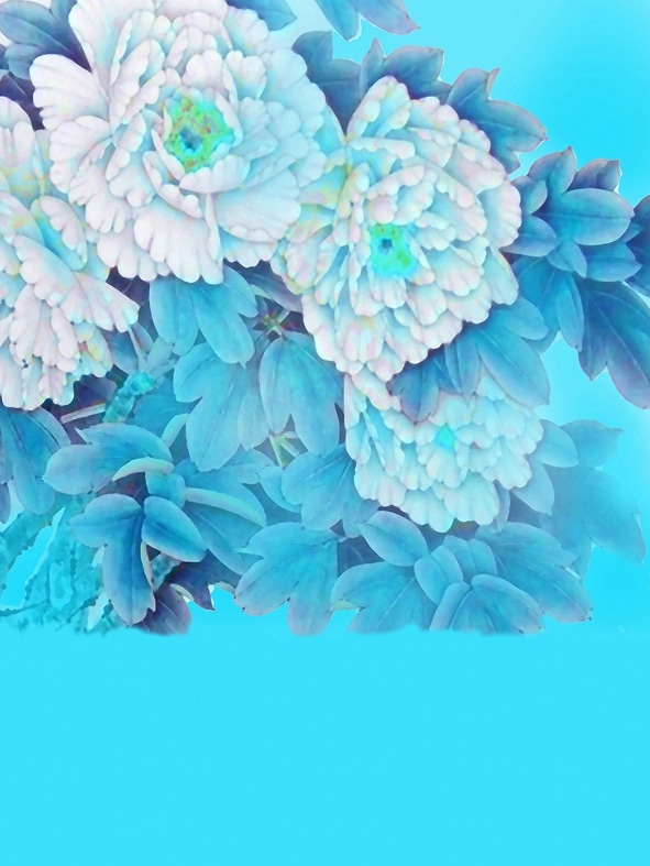 B-y2108撮影用背景布★多サイズ対応(0.5ｍ x 0.9～3ｍ x 7m）★