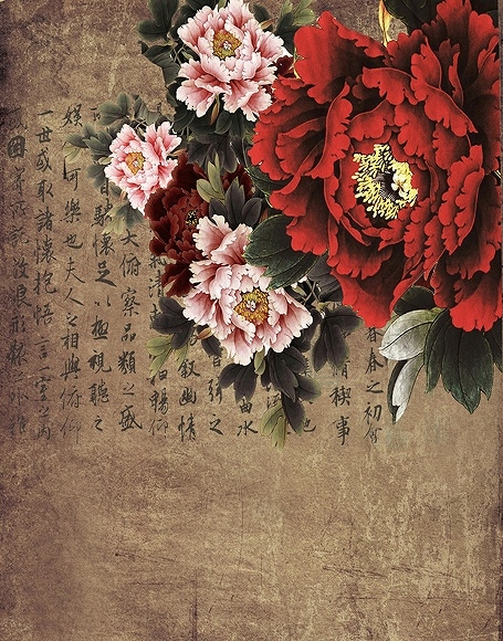 B-y2185撮影用背景布★多サイズ対応(0.5ｍ x 0.9～3ｍ x 7m）★