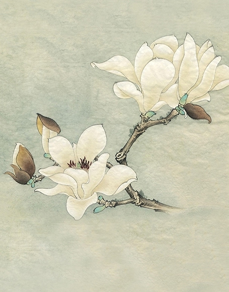 B-y2188撮影用背景布★多サイズ対応(0.5ｍ x 0.9～3ｍ x 7m）★