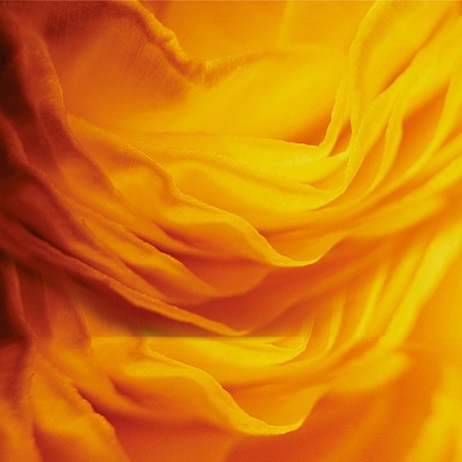 B-5844撮影用背景布★多サイズ対応(0.5ｍ x 0.9～3ｍ x 7m）★