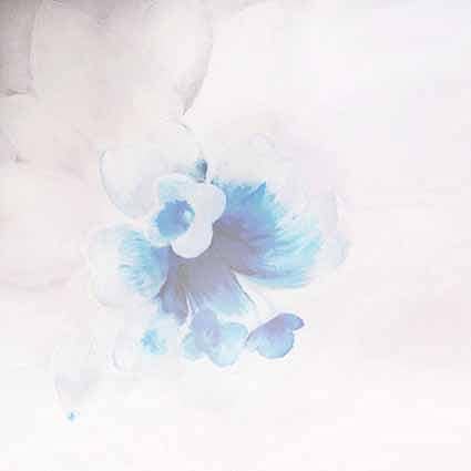 B-6711撮影用背景布★多サイズ対応(0.5ｍ x 0.9～3ｍ x 7m）★