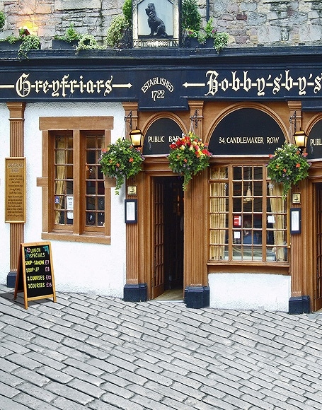 B-y-4816撮影用背景布★多サイズ対応(0.5ｍ x 0.9～3ｍ x 7m）★