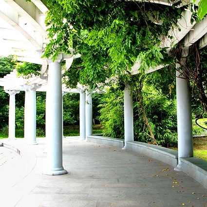 B-4592撮影用背景布★多サイズ対応(0.5ｍ x 0.9～3ｍ x 7m）★