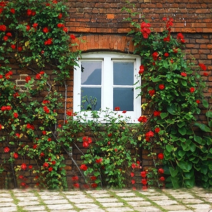 B-5478撮影用背景布★多サイズ対応(0.5ｍ x 0.9～3ｍ x 7m）★