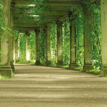 B-5889撮影用背景布★多サイズ対応(0.5ｍ x 0.9～3ｍ x 7m）★