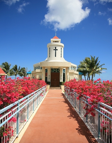 B-y-3099撮影用背景布★多サイズ対応(0.5ｍ x 0.9～3ｍ x 7m）★