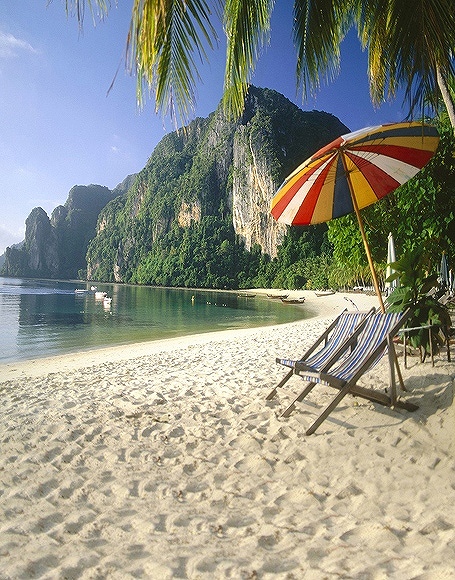 B-y-3593撮影用背景布★多サイズ対応(0.5ｍ x 0.9～3ｍ x 7m）★