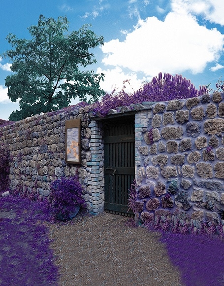 B-y-3852撮影用背景布★多サイズ対応(0.5ｍ x 0.9～3ｍ x 7m）★