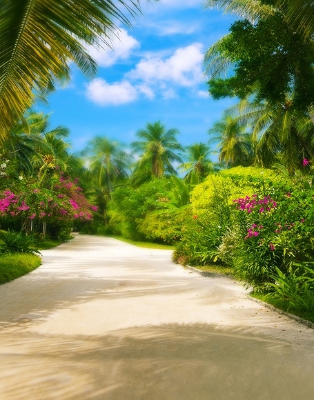 B-y-4502撮影用背景布★多サイズ対応(0.5ｍ x 0.9～3ｍ x 7m）★