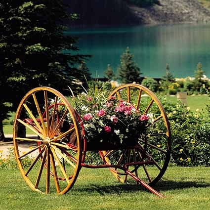 B-1360撮影用背景布★多サイズ対応(0.5ｍ x 0.9～3ｍ x 7m）★