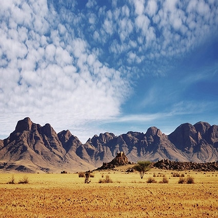 B-S7327撮影用背景布★多サイズ対応(0.5ｍ x 0.9～3ｍ x 7m）★