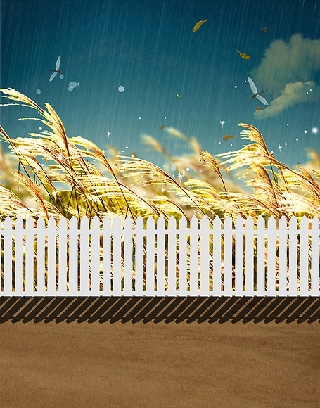 B-y-3752撮影用背景布★多サイズ対応(0.5ｍ x 0.9～3ｍ x 7m）★