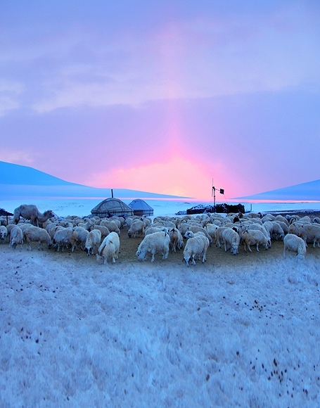 B-y-3806撮影用背景布★多サイズ対応(0.5ｍ x 0.9～3ｍ x 7m）★