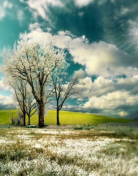 B-y-3972撮影用背景布★多サイズ対応(0.5ｍ x 0.9～3ｍ x 7m）★