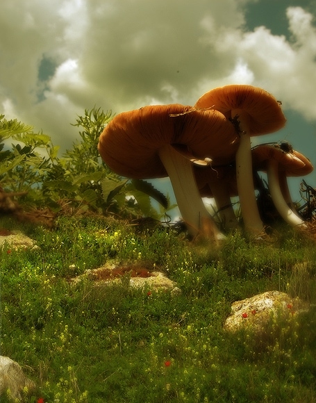 B-y-4252撮影用背景布★多サイズ対応(0.5ｍ x 0.9～3ｍ x 7m）★