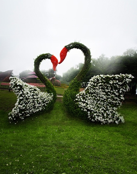 B-y-4272撮影用背景布★多サイズ対応(0.5ｍ x 0.9～3ｍ x 7m）★