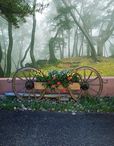 B-y-4279撮影用背景布★多サイズ対応(0.5ｍ x 0.9～3ｍ x 7m）★