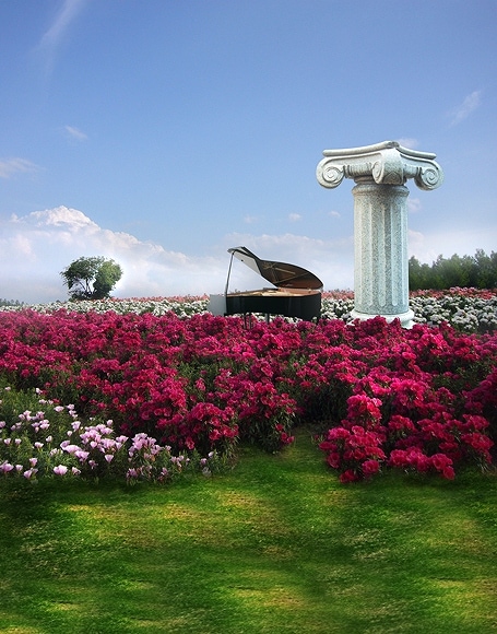 B-y-4316撮影用背景布★多サイズ対応(0.5ｍ x 0.9～3ｍ x 7m）★