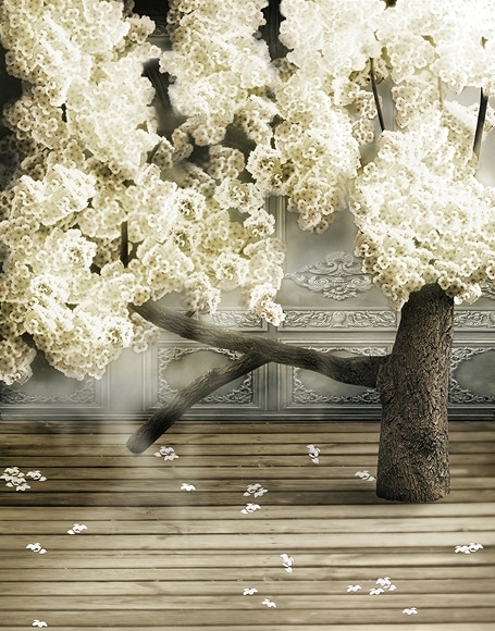 B-y-4325撮影用背景布★多サイズ対応(0.5ｍ x 0.9～3ｍ x 7m）★