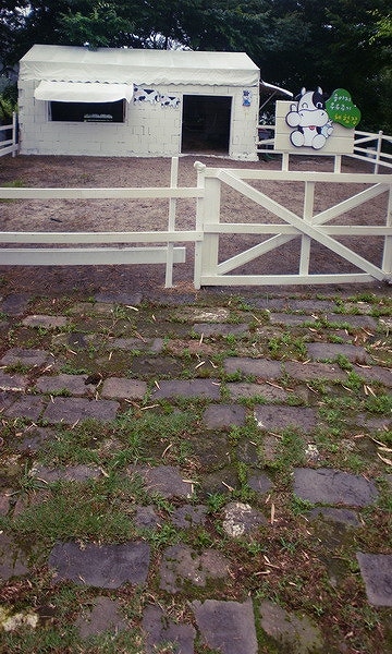 B-y1669撮影用背景布★多サイズ対応(0.5ｍ x 0.9～3ｍ x 7m）★