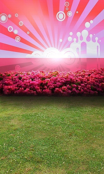 B-y1671撮影用背景布★多サイズ対応(0.5ｍ x 0.9～3ｍ x 7m）★