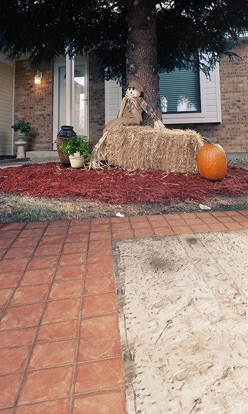 B-y1703撮影用背景布★多サイズ対応(0.5ｍ x 0.9～3ｍ x 7m）★