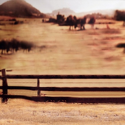 B-1905撮影用背景布★多サイズ対応(0.5ｍ x 0.9～3ｍ x 7m）★