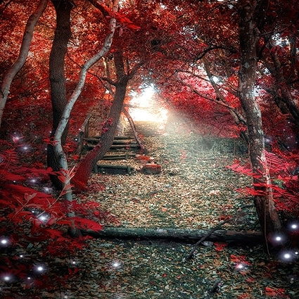 B-3692撮影用背景布★多サイズ対応(0.5ｍ x 0.9～3ｍ x 7m）★