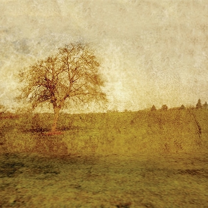 B-5781撮影用背景布★多サイズ対応(0.5ｍ x 0.9～3ｍ x 7m）★