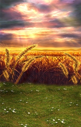 B-w364撮影用背景布★多サイズ対応(0.5ｍ x 0.9～3ｍ x 7m）★