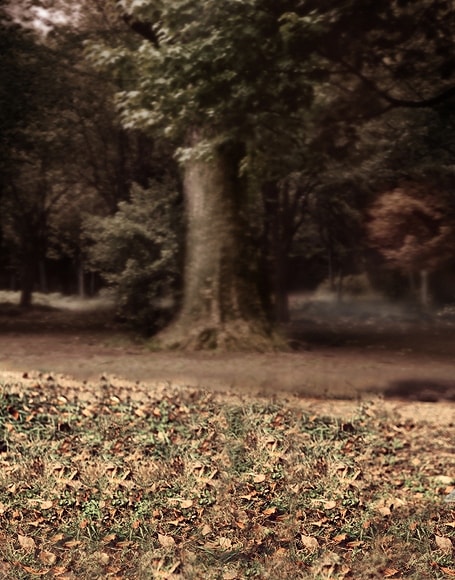 B-y-3255撮影用背景布★多サイズ対応(0.5ｍ x 0.9～3ｍ x 7m）★