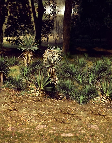 B-y-3256撮影用背景布★多サイズ対応(0.5ｍ x 0.9～3ｍ x 7m）★