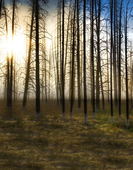 B-y-4276撮影用背景布★多サイズ対応(0.5ｍ x 0.9～3ｍ x 7m）★