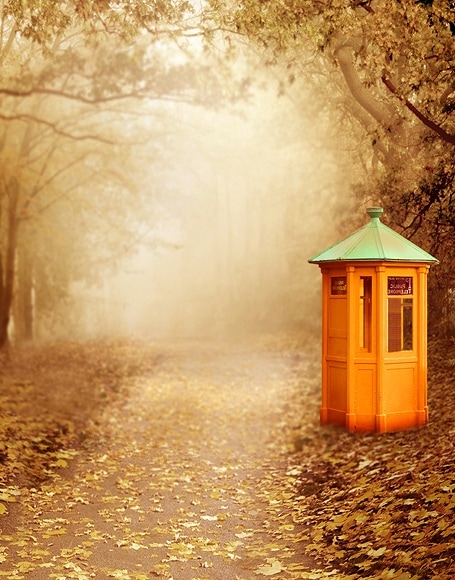 B-y-4462撮影用背景布★多サイズ対応(0.5ｍ x 0.9～3ｍ x 7m）★