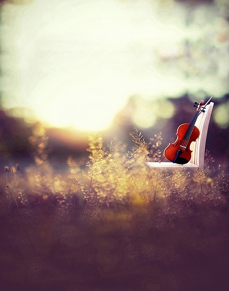 B-y-4799撮影用背景布★多サイズ対応(0.5ｍ x 0.9～3ｍ x 7m）★