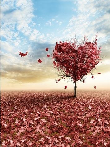 B-y-5178撮影用背景布★多サイズ対応(0.5ｍ x 0.9～3ｍ x 7m）★