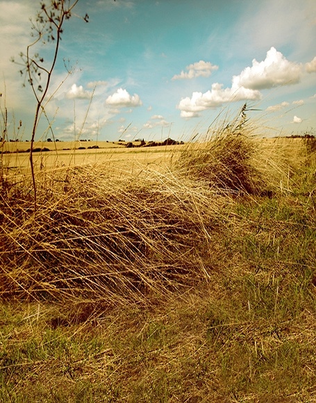 B-y-5265撮影用背景布★多サイズ対応(0.5ｍ x 0.9～3ｍ x 7m）★