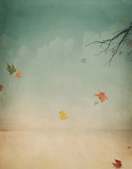 B-y-5288撮影用背景布★多サイズ対応(0.5ｍ x 0.9～3ｍ x 7m）★