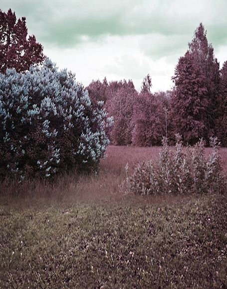 B-y-5591撮影用背景布★多サイズ対応(0.5ｍ x 0.9～3ｍ x 7m）★