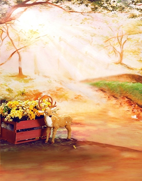 B-y-5660撮影用背景布★多サイズ対応(0.5ｍ x 0.9～3ｍ x 7m）★